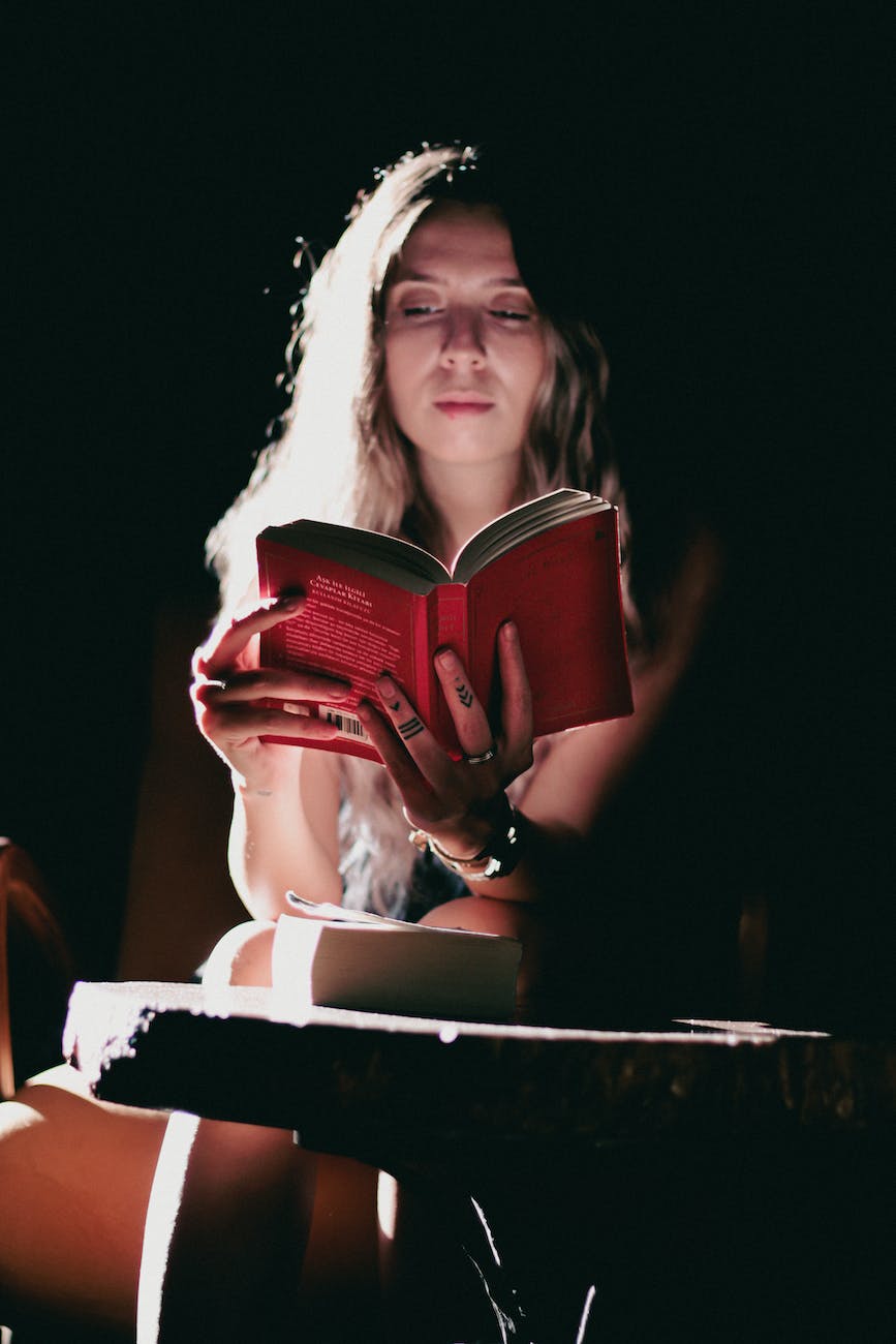 El libro rojo de la&nbsp;publicidad